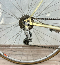 Load image into Gallery viewer, Virginia Vintage Road Race Bike