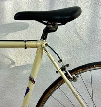 Load image into Gallery viewer, Virginia Vintage Road Race Bike