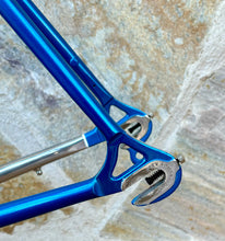Load image into Gallery viewer, 54cm Pinarello Treviso Frameset - New paint
