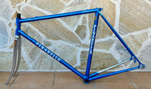 Load image into Gallery viewer, 54cm Pinarello Treviso Frameset - New paint