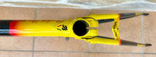 Load image into Gallery viewer, Rino Boschetti Custom Multishape Frameset - NOS fork