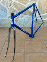 Load image into Gallery viewer, 54cm Pinarello Treviso Frameset - New paint