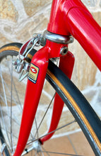 Load image into Gallery viewer, Cicli Sannino Crono TT Lo Pro Bike