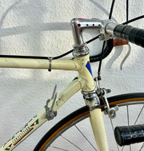 Load image into Gallery viewer, Virginia Vintage Road Race Bike