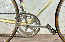 Load image into Gallery viewer, Virginia Vintage Road Race Bike