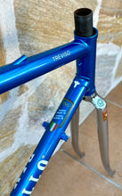 Load image into Gallery viewer, 54cm Pinarello Treviso Frameset - New paint