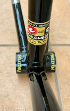 Load image into Gallery viewer, Pelizzoli MultiShape Time Trial Crono Frameset