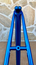 Load image into Gallery viewer, 54cm Pinarello Treviso Frameset - New paint