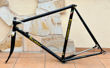 Load image into Gallery viewer, Pelizzoli MultiShape Time Trial Crono Frameset