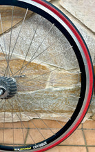 Load image into Gallery viewer, Ambrosio Focus TQB Campagnolo Wheelset for Clincher