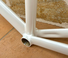 Load image into Gallery viewer, 51cm Chesini Pista NOS Track Frameset