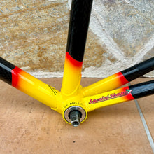 Load image into Gallery viewer, Rino Boschetti Custom Multishape Frameset - NOS fork