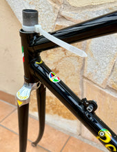 Load image into Gallery viewer, Pelizzoli MultiShape Time Trial Crono Frameset