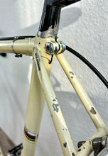 Load image into Gallery viewer, Virginia Vintage Road Race Bike