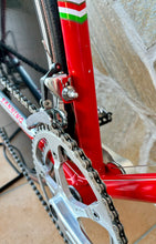 Load image into Gallery viewer, Cicli Sannino Crono TT Lo Pro Bike