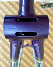 Load image into Gallery viewer, Cicli Boschetti SLX Crono Lo Pro TT Frameset - NOS