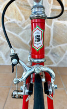 Load image into Gallery viewer, Cicli Sannino Crono TT Lo Pro Bike