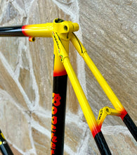 Load image into Gallery viewer, Rino Boschetti Custom Multishape Frameset - NOS fork