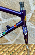 Load image into Gallery viewer, Cicli Boschetti SLX Crono Lo Pro TT Frameset - NOS