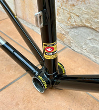 Load image into Gallery viewer, Pelizzoli MultiShape Time Trial Crono Frameset