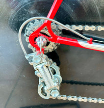 Load image into Gallery viewer, Cicli Sannino Crono TT Lo Pro Bike