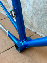 Load image into Gallery viewer, 54cm Pinarello Treviso Frameset - New paint