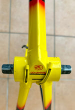 Load image into Gallery viewer, Rino Boschetti Custom Multishape Frameset - NOS fork