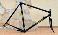 Load image into Gallery viewer, Pelizzoli MultiShape Time Trial Crono Frameset