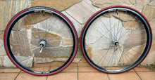 Load image into Gallery viewer, Ambrosio Focus TQB Campagnolo Wheelset for Clincher