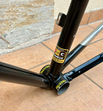 Load image into Gallery viewer, Pelizzoli MultiShape Time Trial Crono Frameset