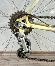 Load image into Gallery viewer, Virginia Vintage Road Race Bike