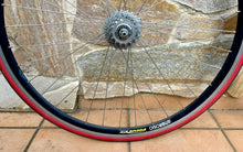 Load image into Gallery viewer, Ambrosio Focus TQB Campagnolo Wheelset for Clincher