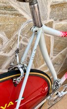 Load image into Gallery viewer, 55cm Cinelli Caramanti by Vetta Lo Pro Pursuit Bike