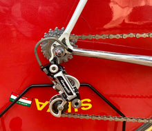 Load image into Gallery viewer, 55cm Cinelli Caramanti by Vetta Lo Pro Pursuit Bike