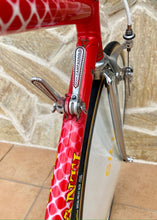 Load image into Gallery viewer, 55cm Cinelli Caramanti by Vetta Lo Pro Pursuit Bike