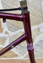 Load image into Gallery viewer, 55cm Eddy Merckx Reynolds 531 Road Race Frame