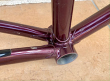 Load image into Gallery viewer, 55cm Eddy Merckx Reynolds 531 Road Race Frame