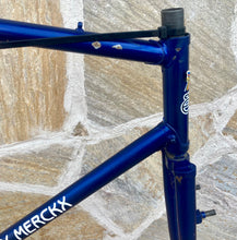 Load image into Gallery viewer, Rare Eddy Merckx Vintage Cyclocross Steel Frame