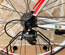 Load image into Gallery viewer, 56cm Cicli Boschetti Carbon Road Race Bike - Campagnolo Super Record 11s Group