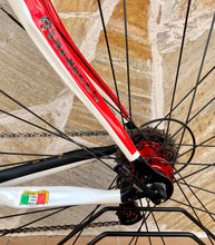 Load image into Gallery viewer, 56cm Cicli Boschetti Carbon Road Race Bike - Campagnolo Super Record 11s Group