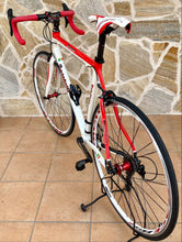 Load image into Gallery viewer, 56cm Cicli Boschetti Carbon Road Race Bike - Campagnolo Super Record 11s Group