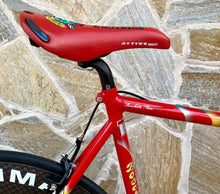 Load image into Gallery viewer, 55cm Cicli Boschetti Altec Lo Pro TT Crono Bike