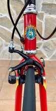 Load image into Gallery viewer, 55cm Cicli Boschetti Altec Lo Pro TT Crono Bike
