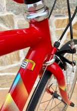 Load image into Gallery viewer, 55cm Cicli Boschetti Altec Lo Pro TT Crono Bike