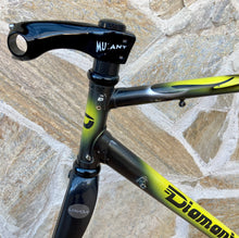 Load image into Gallery viewer, 55cm Diamant Columbus MAX Frameset