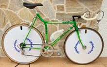 Load image into Gallery viewer, Rino Boschetti Crono Lo Pro TT Bike