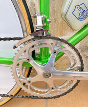 Load image into Gallery viewer, Rino Boschetti Crono Lo Pro TT Bike