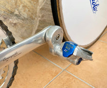 Load image into Gallery viewer, Rino Boschetti Crono Lo Pro TT Bike