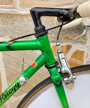 Load image into Gallery viewer, Rino Boschetti Crono Lo Pro TT Bike