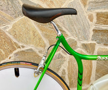 Load image into Gallery viewer, Rino Boschetti Crono Lo Pro TT Bike